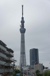 110625-01.jpg